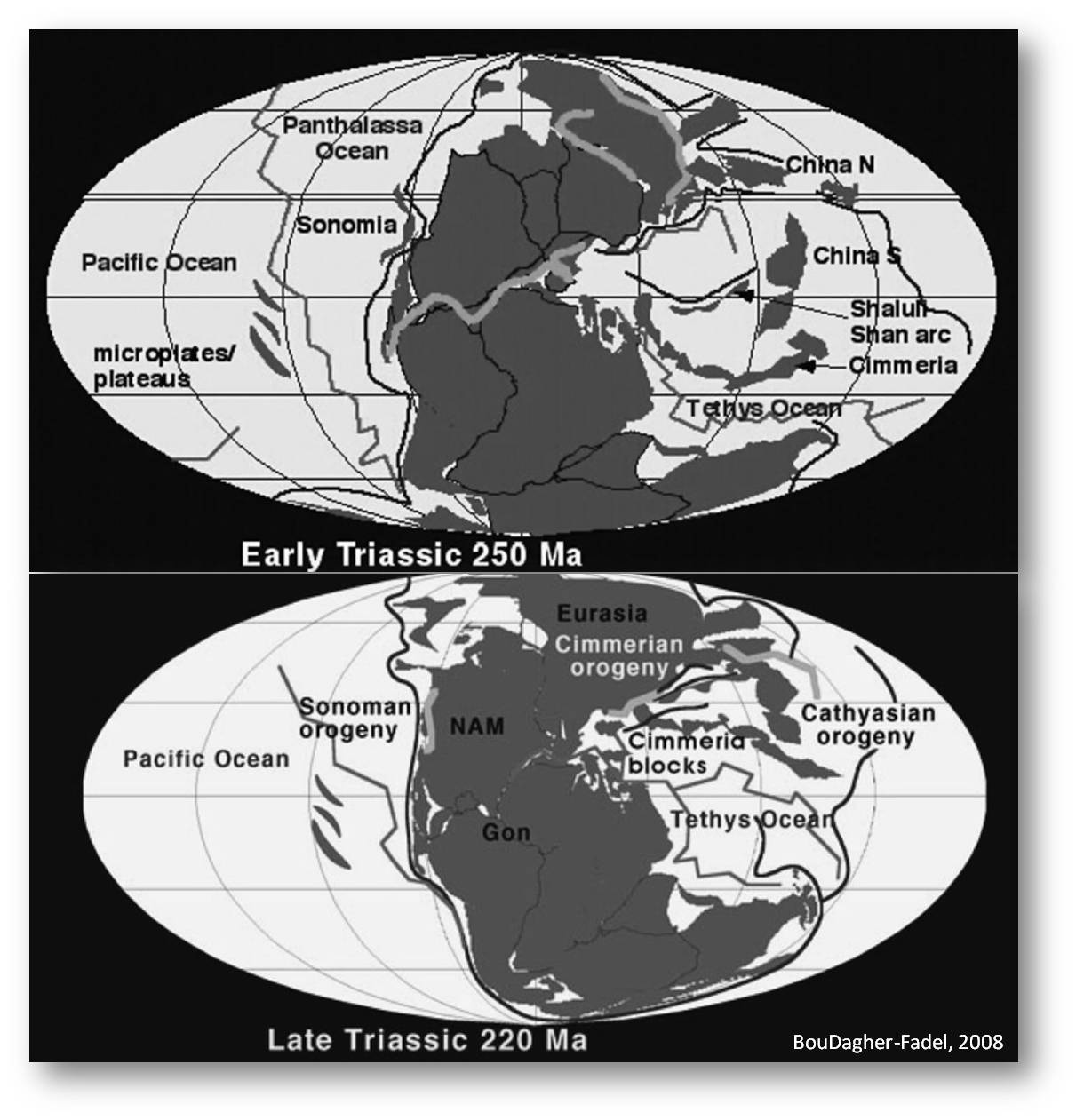 The Triassic SEPM Triassic Tethys.JPG
